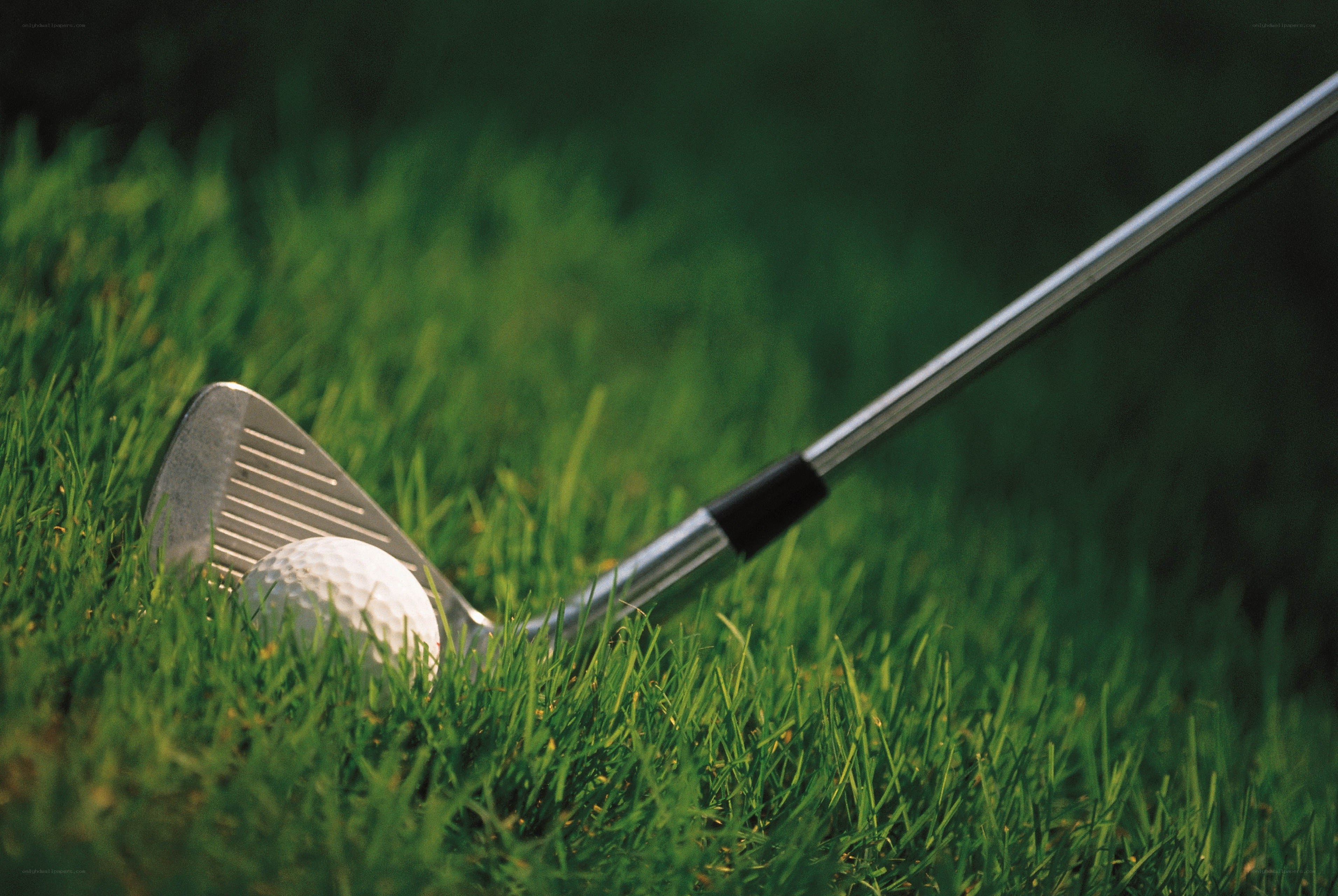 Golf club and ball on grass