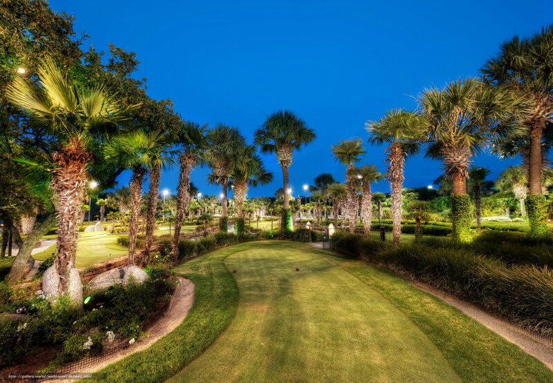 Golf course at dusk