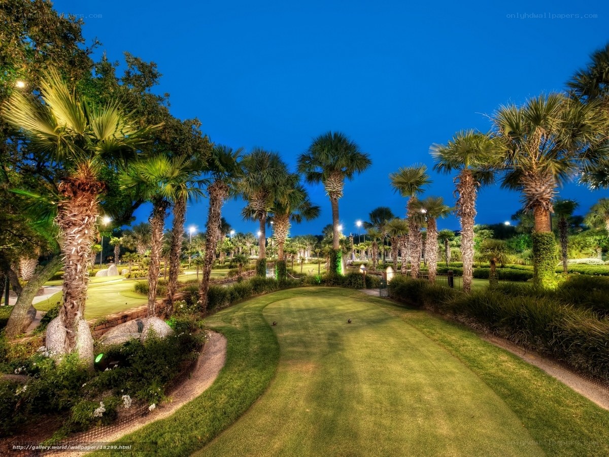 Golf course at dusk with palm trees