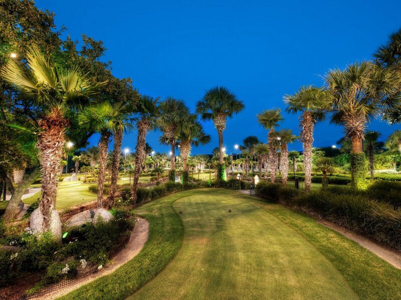 Golf Course at Night — Green, Serene, Photograph