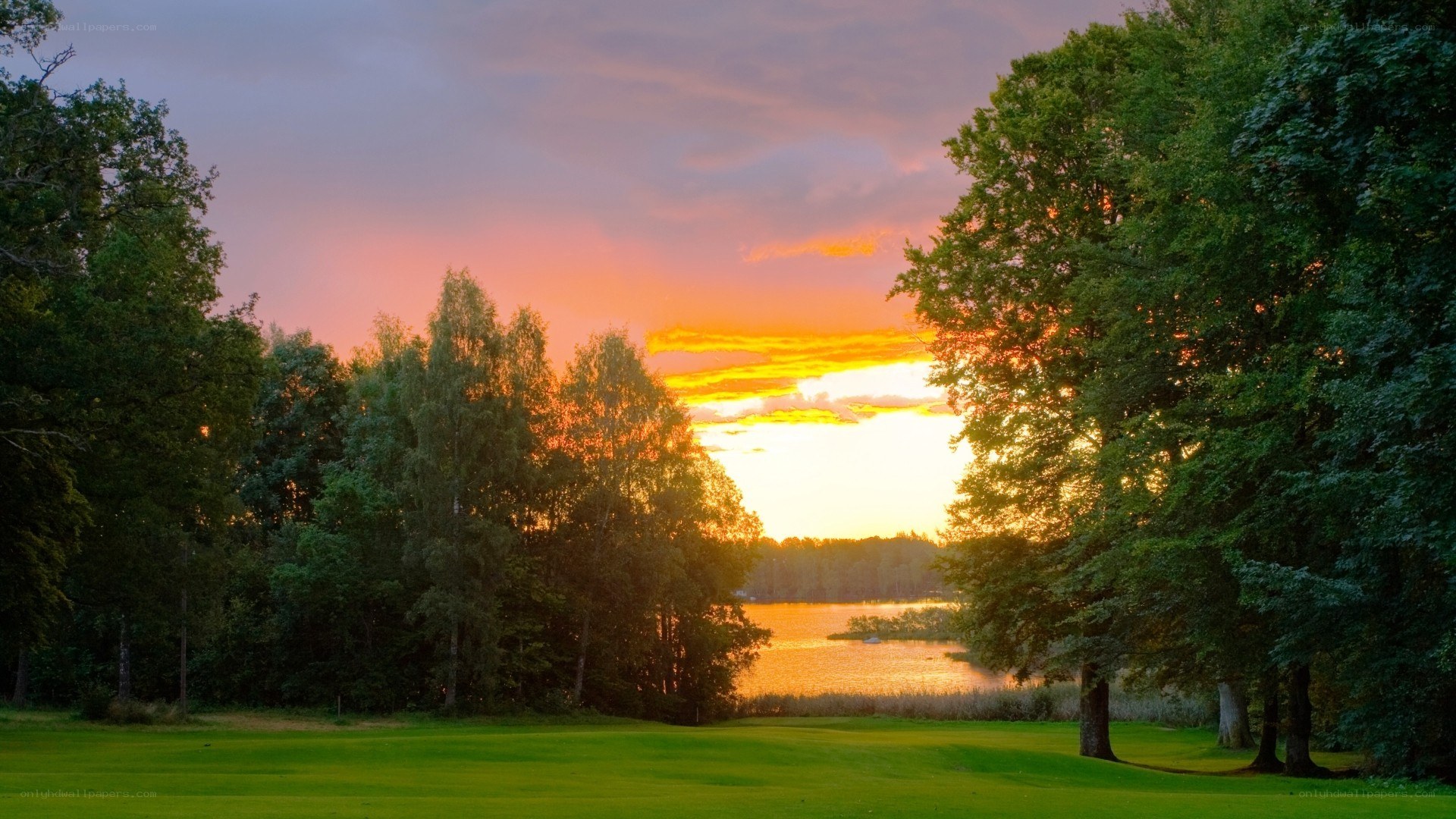 Golf course at sunset