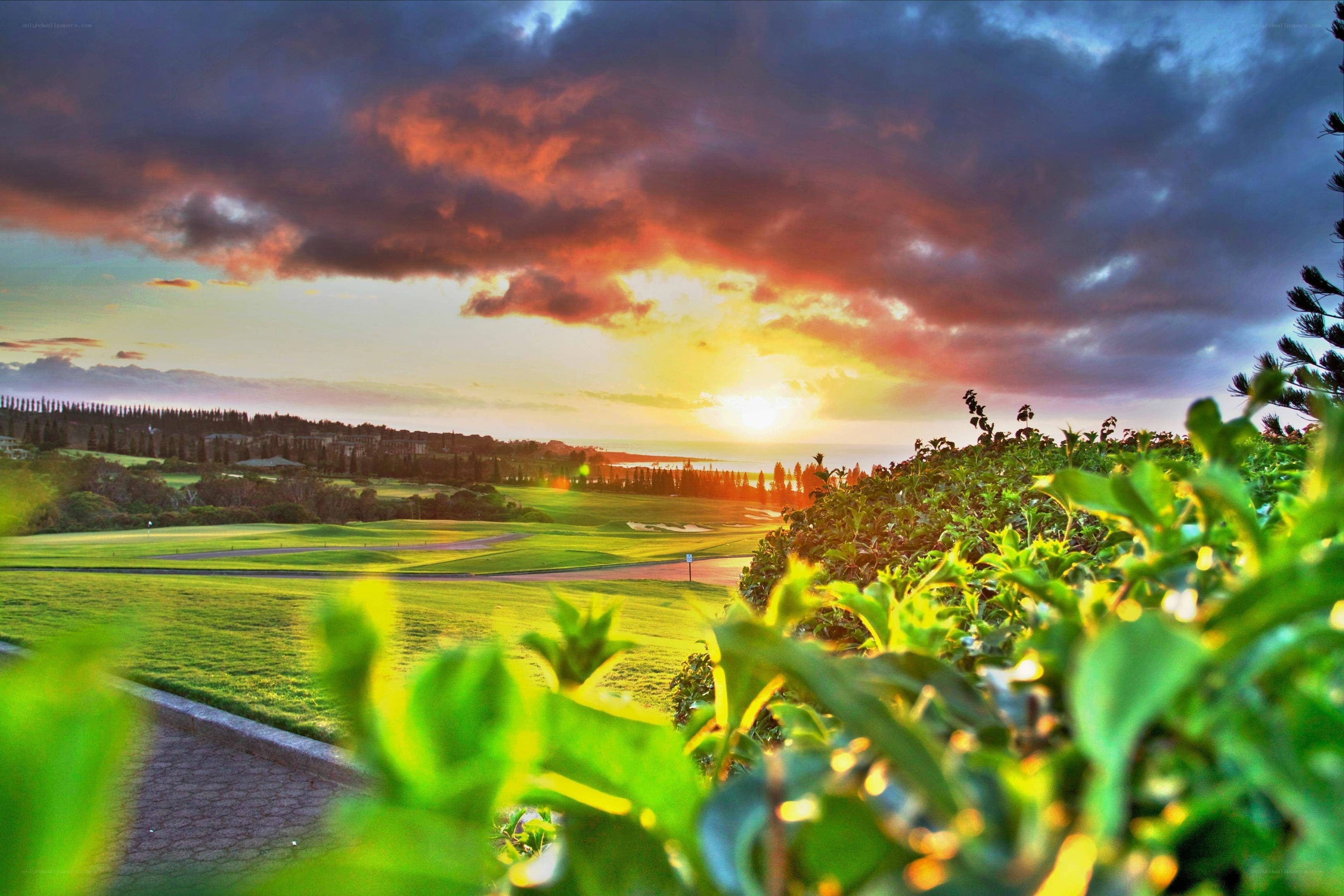 Golf course at sunset