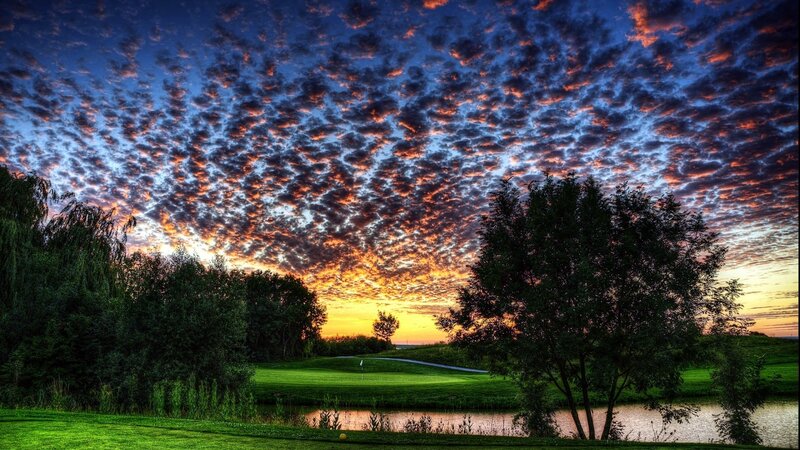 Golf Course at Sunset — Blue, Dramatic, Photograph, Trees