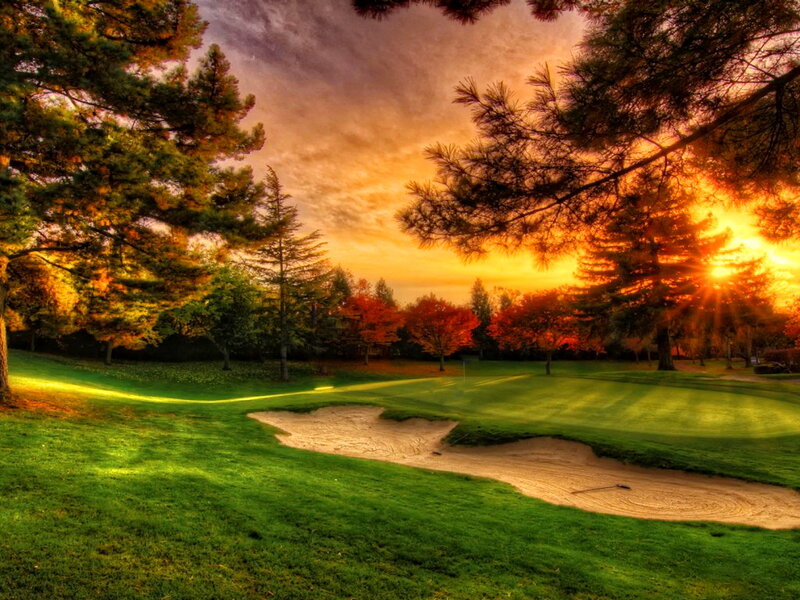 Golf Course at Sunset — Green, Dramatic, Photograph, Trees