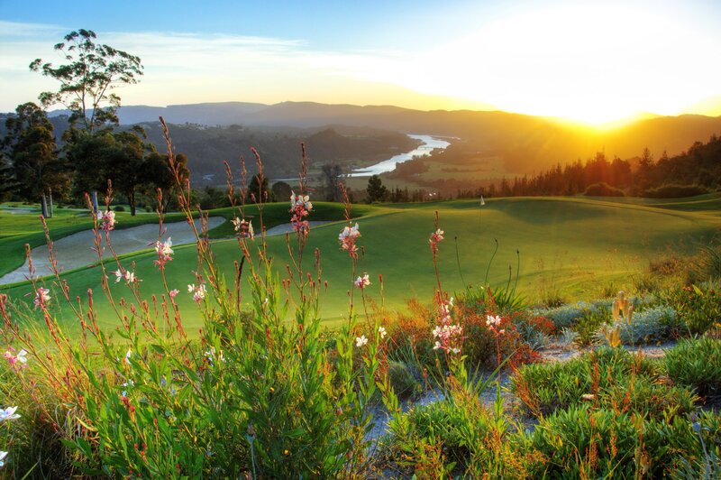 Golf Course at Sunset — Green, Serene, Photograph, Flowers