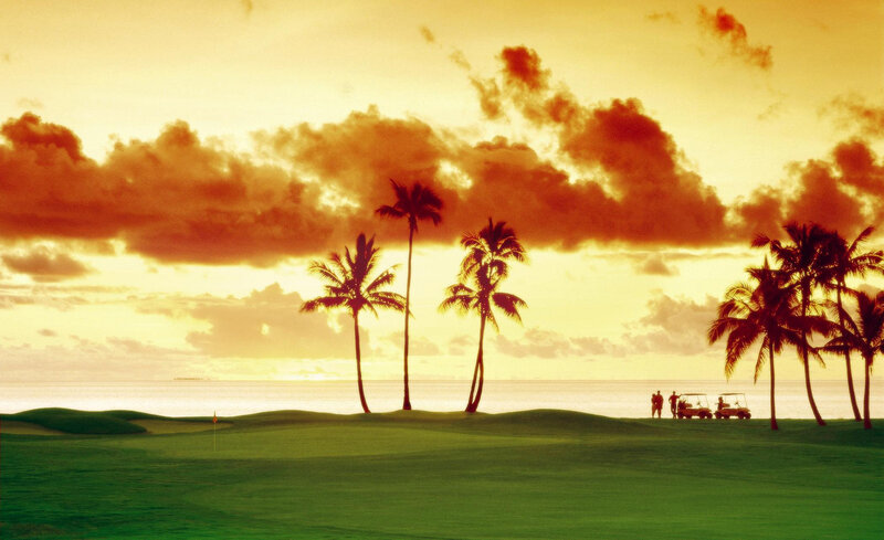 Golf Course at Sunset — Green, Serene, Photograph, Palm Trees