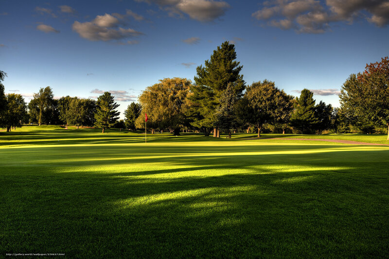 Golf Course at Sunset — Green, Serene, Photograph, Trees, Flag