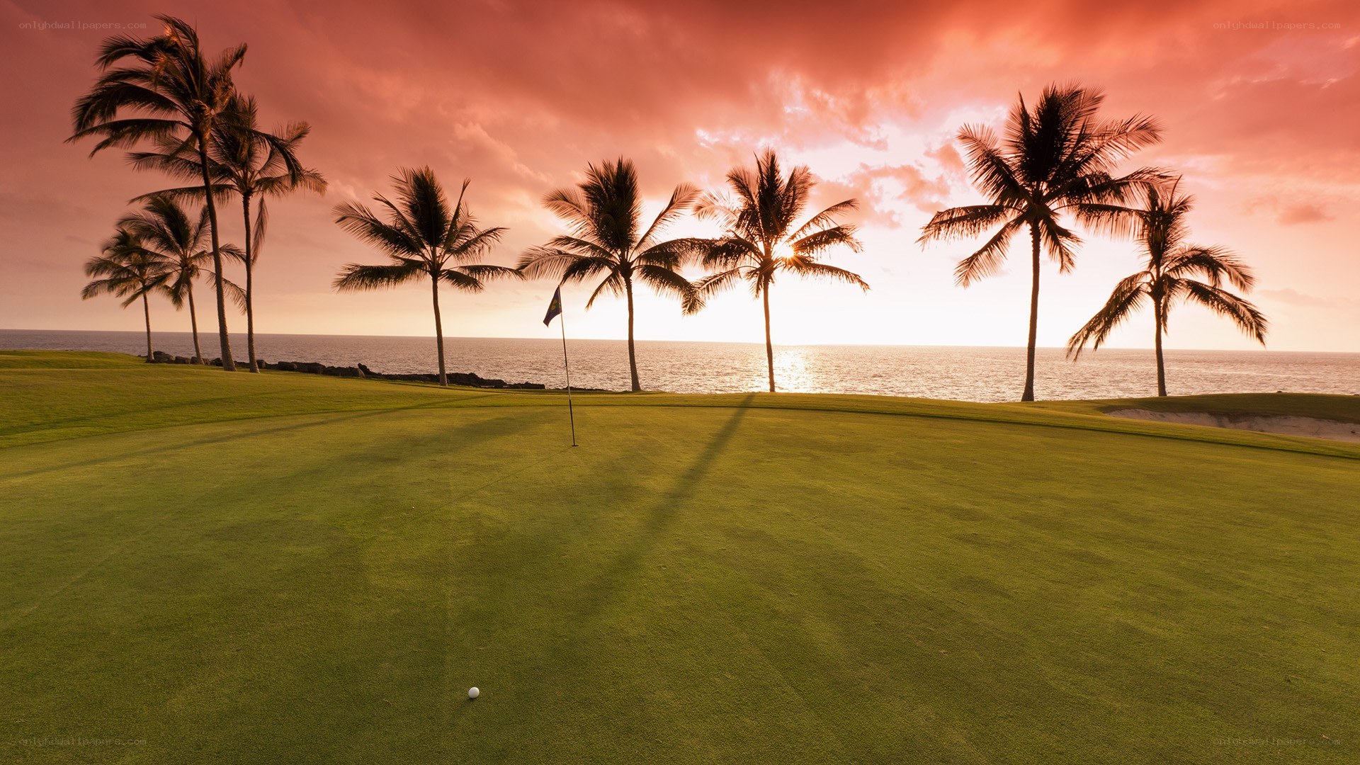 Golf course at sunset with palm trees