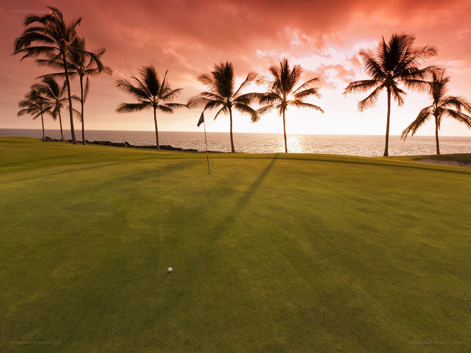 Golf course at sunset with palm trees