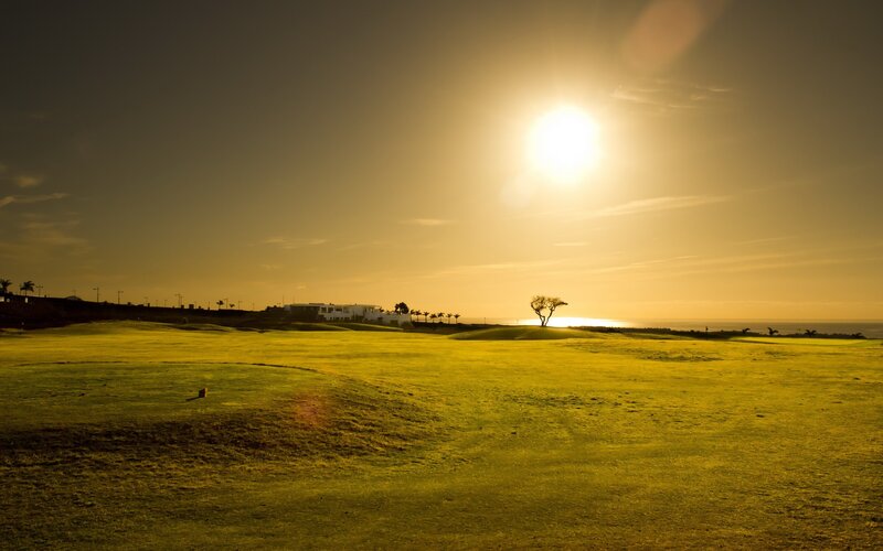Golf Course at Sunset — Yellow, Serene, Photograph