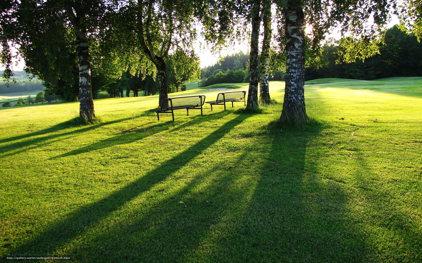 Golf course bench at sunset