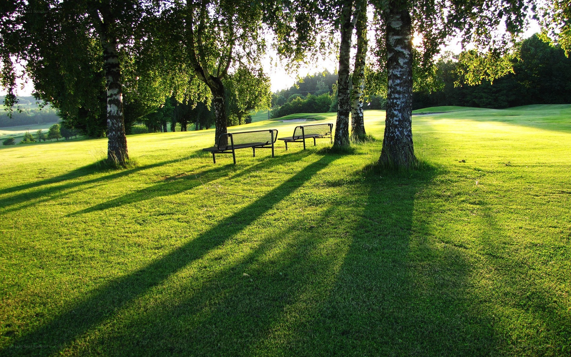 Golf course bench in sunlight