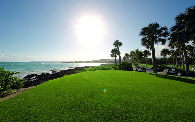Golf Course by Ocean — Green, Serene, Afternoon, Photograph, Palm Trees, Golf Carts