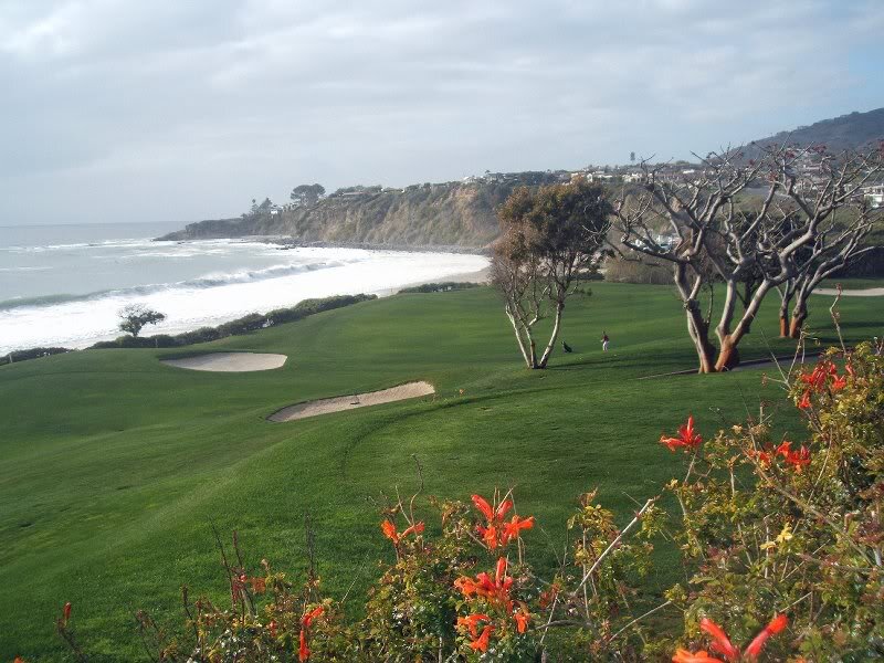 Golf Course by Ocean — Green, Serene
