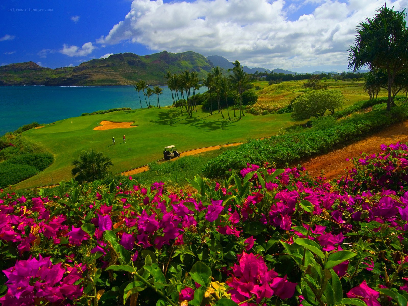Golf course by the ocean