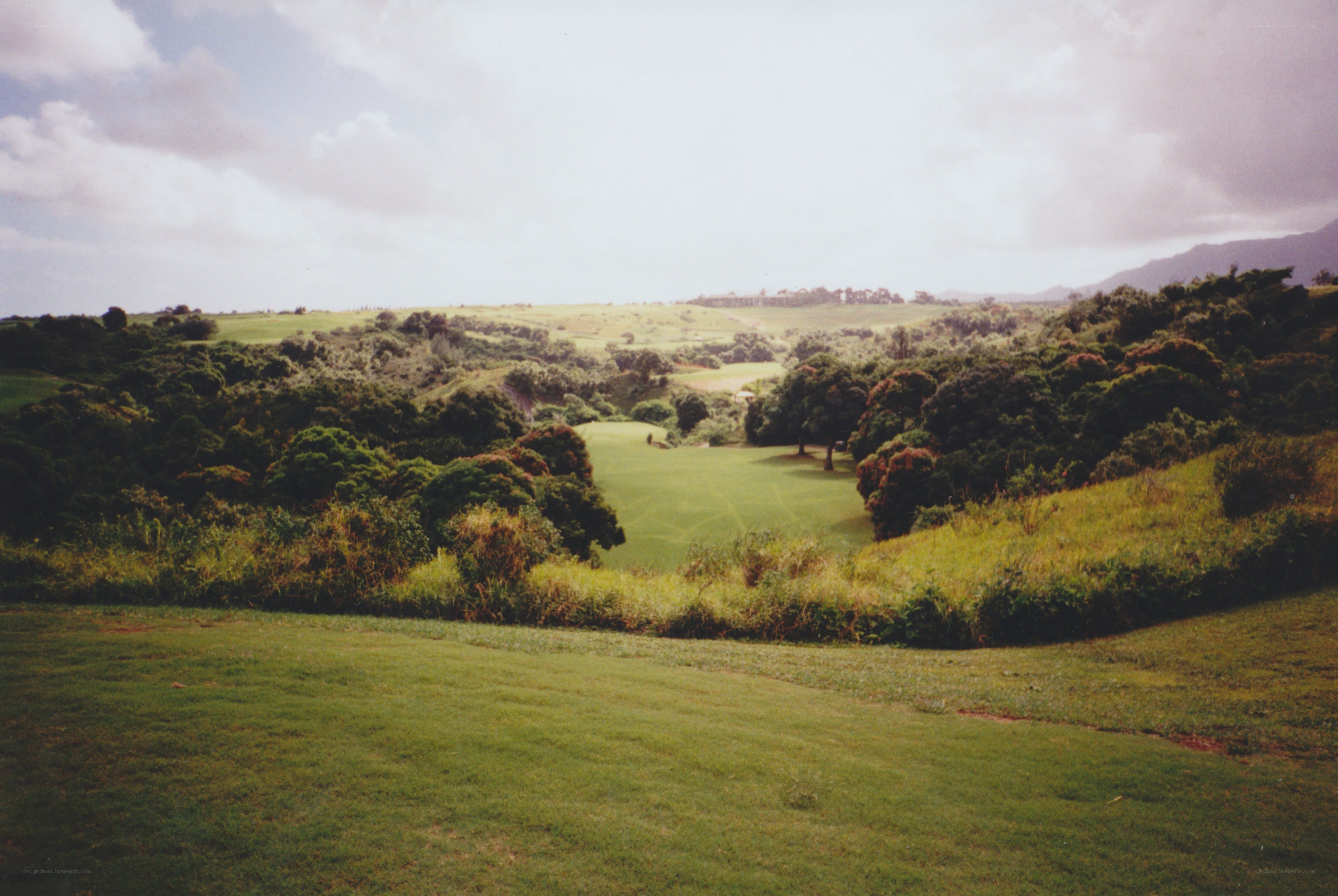 Golf course in a lush valley
