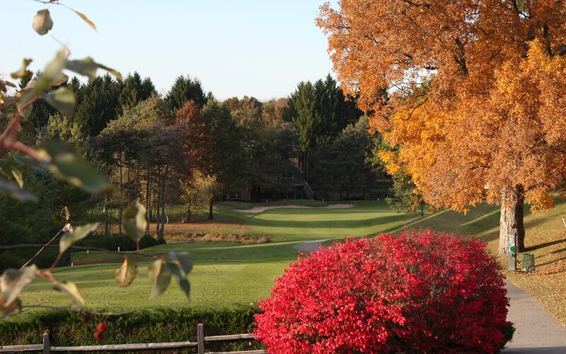 Golf Course in Autumn — Green