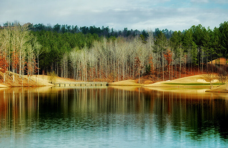 Golf course lake with forest