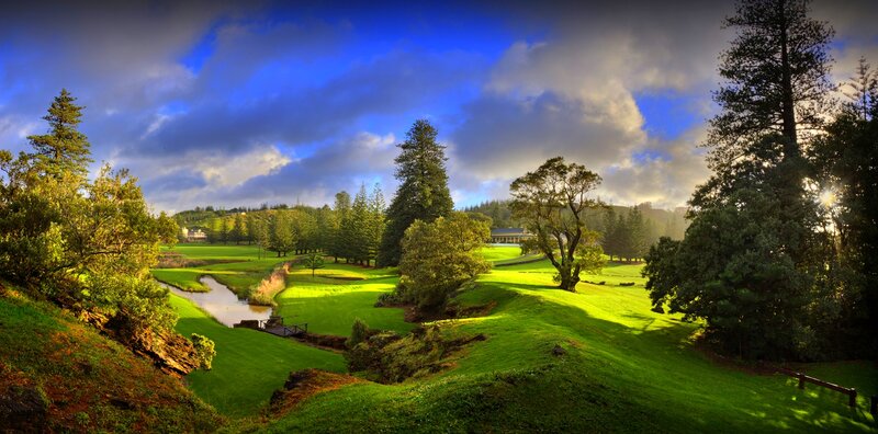 Golf Course Landscape — Green, Dramatic