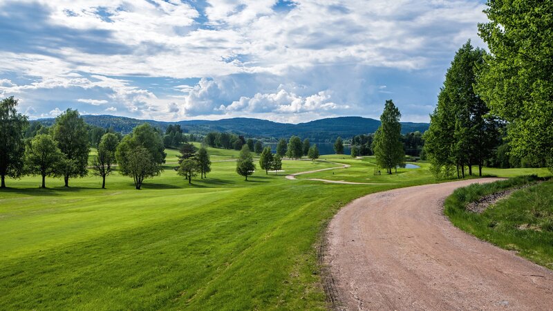 Golf Course Landscape — Green, Serene, Afternoon, Photograph, Trees, Path