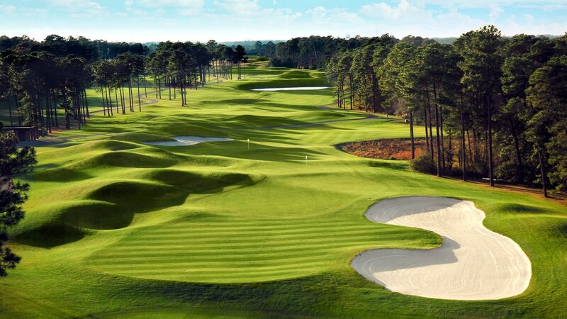 Golf Course Landscape — Green, Serene, Afternoon