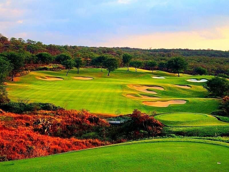 Golf Course Landscape — Green, Serene, Sunset