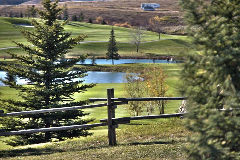 Golf Course Landscape — Green