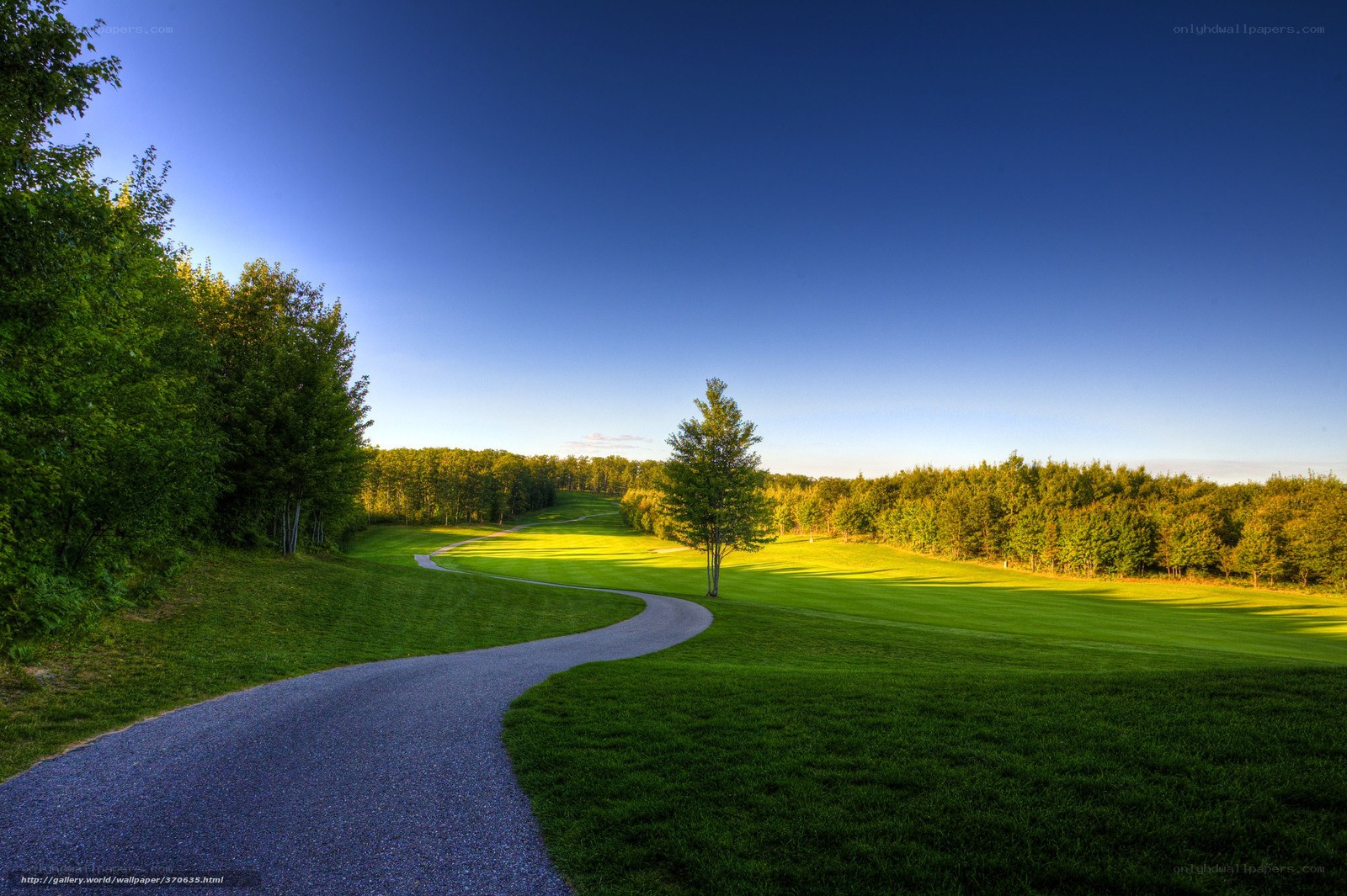 Golf course path at sunrise