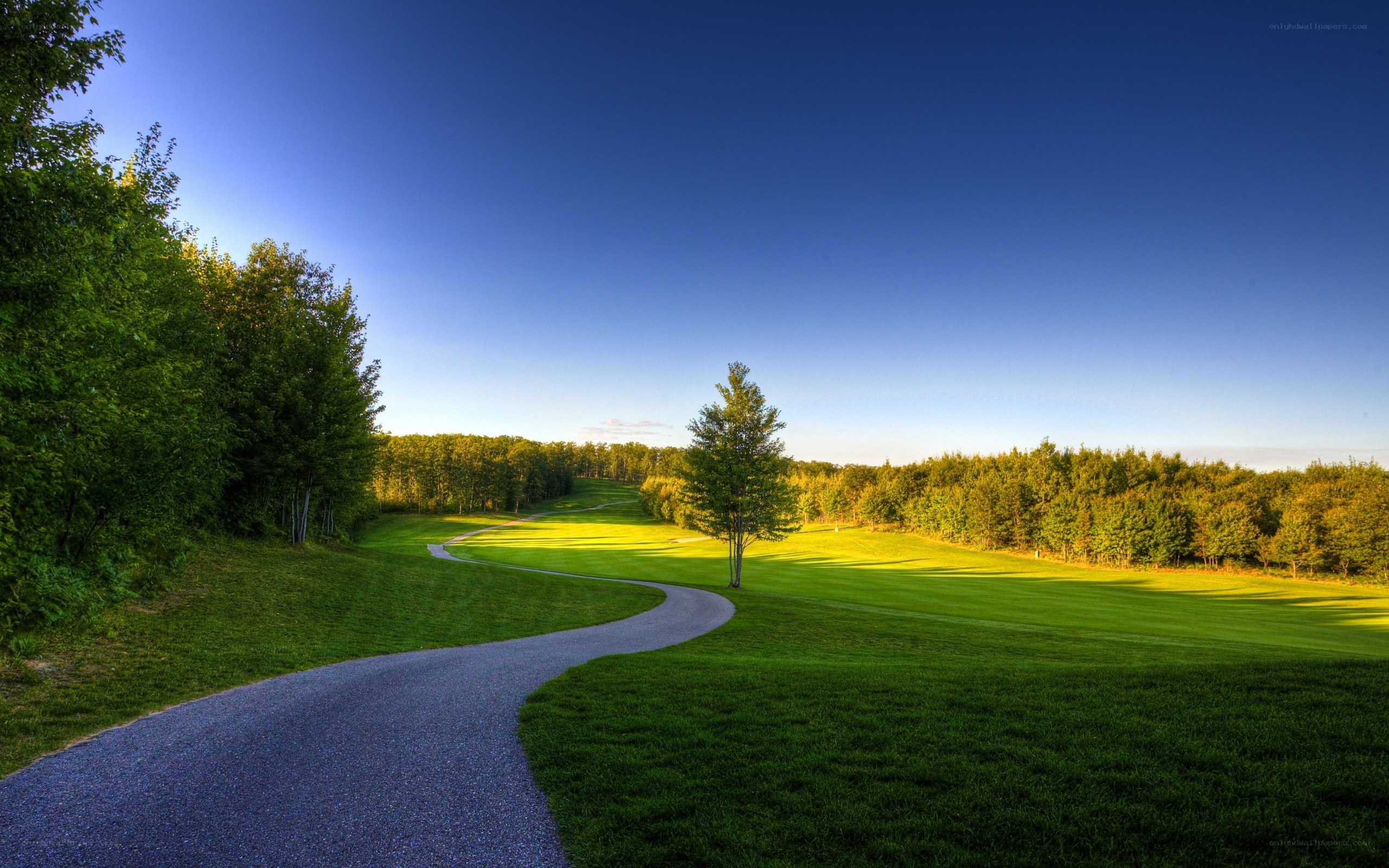 Golf course path at sunset