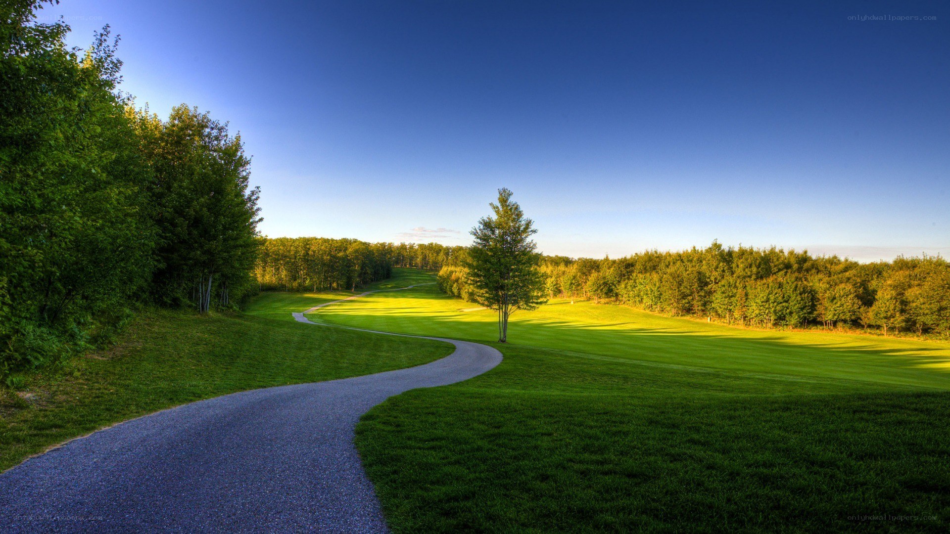 Golf course path at sunset