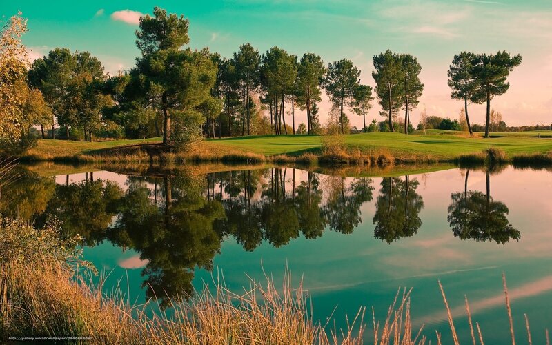 Golf Course Pond — Green, Serene, Sunset, Photograph, Trees, Grass, Sky