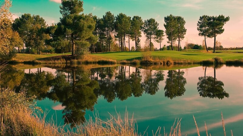 Golf Course Pond — Green, Serene, Sunset, Photograph, Trees, Grass