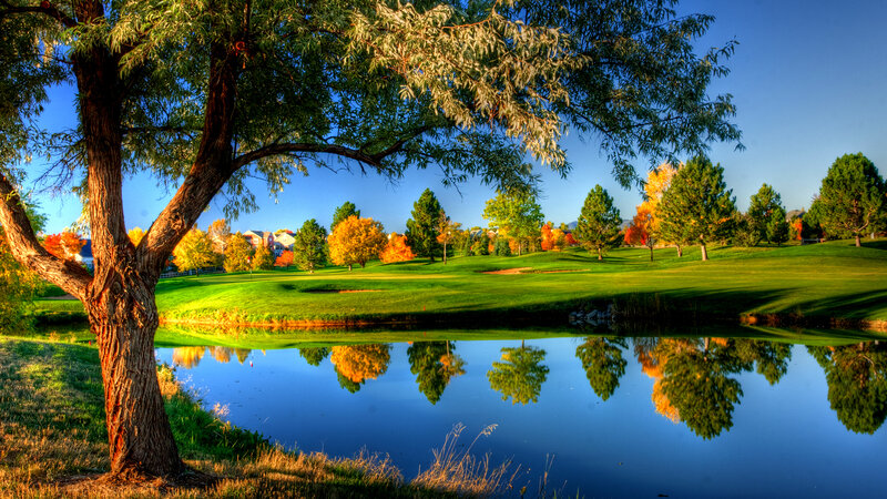 Golf Course Pond — Green, Serene