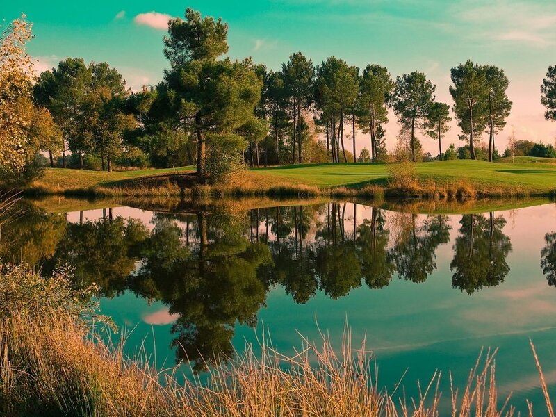 Golf Course Pond — Green