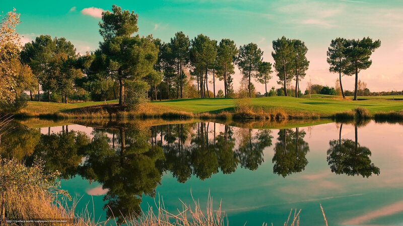 Golf Course Pond Reflection — Green