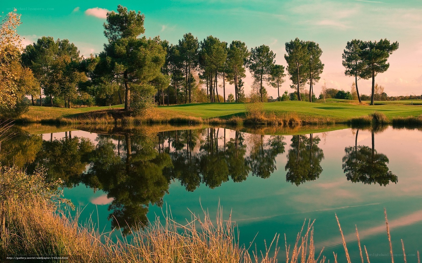 Golf course pond reflection