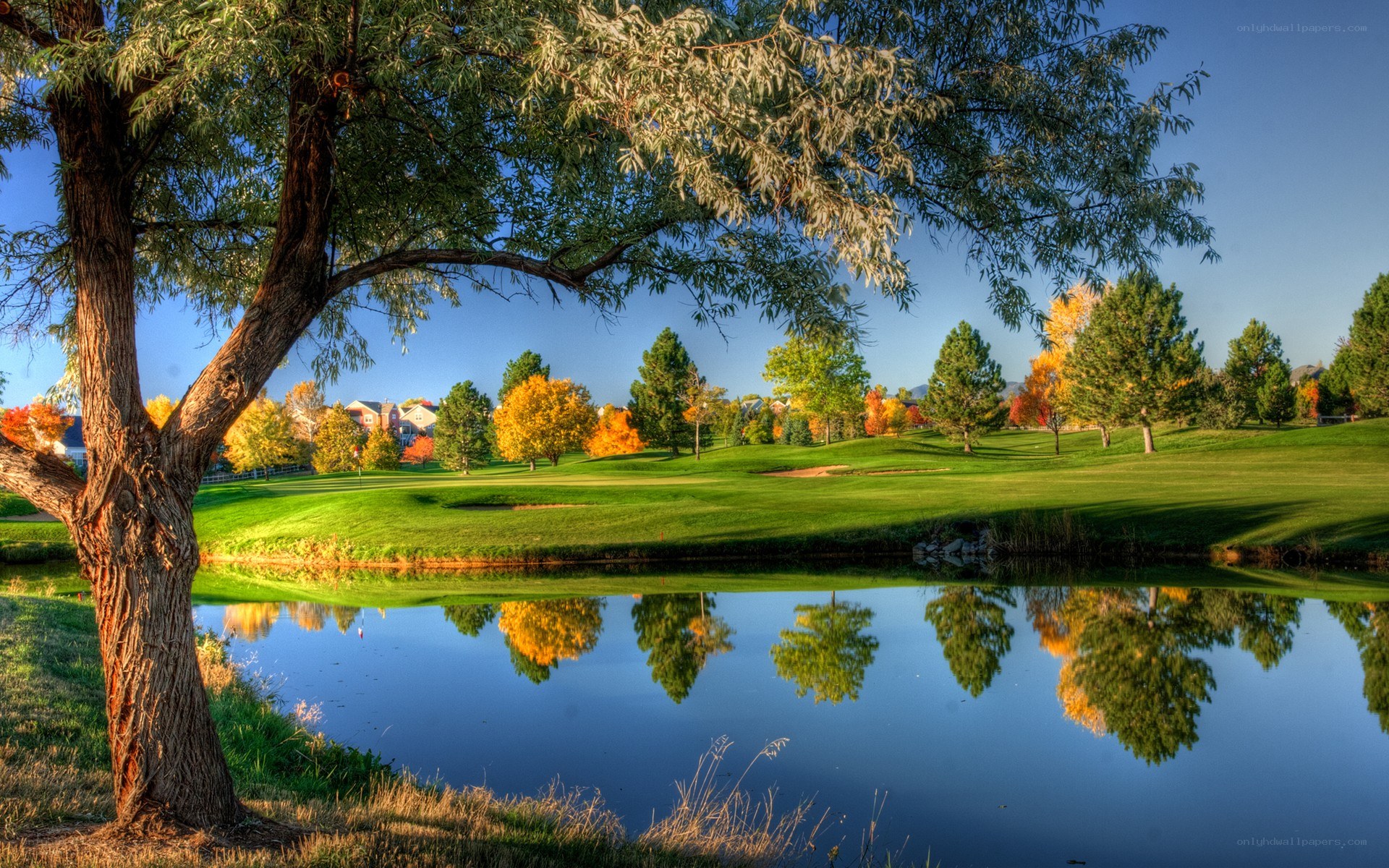 Golf course with autumn trees