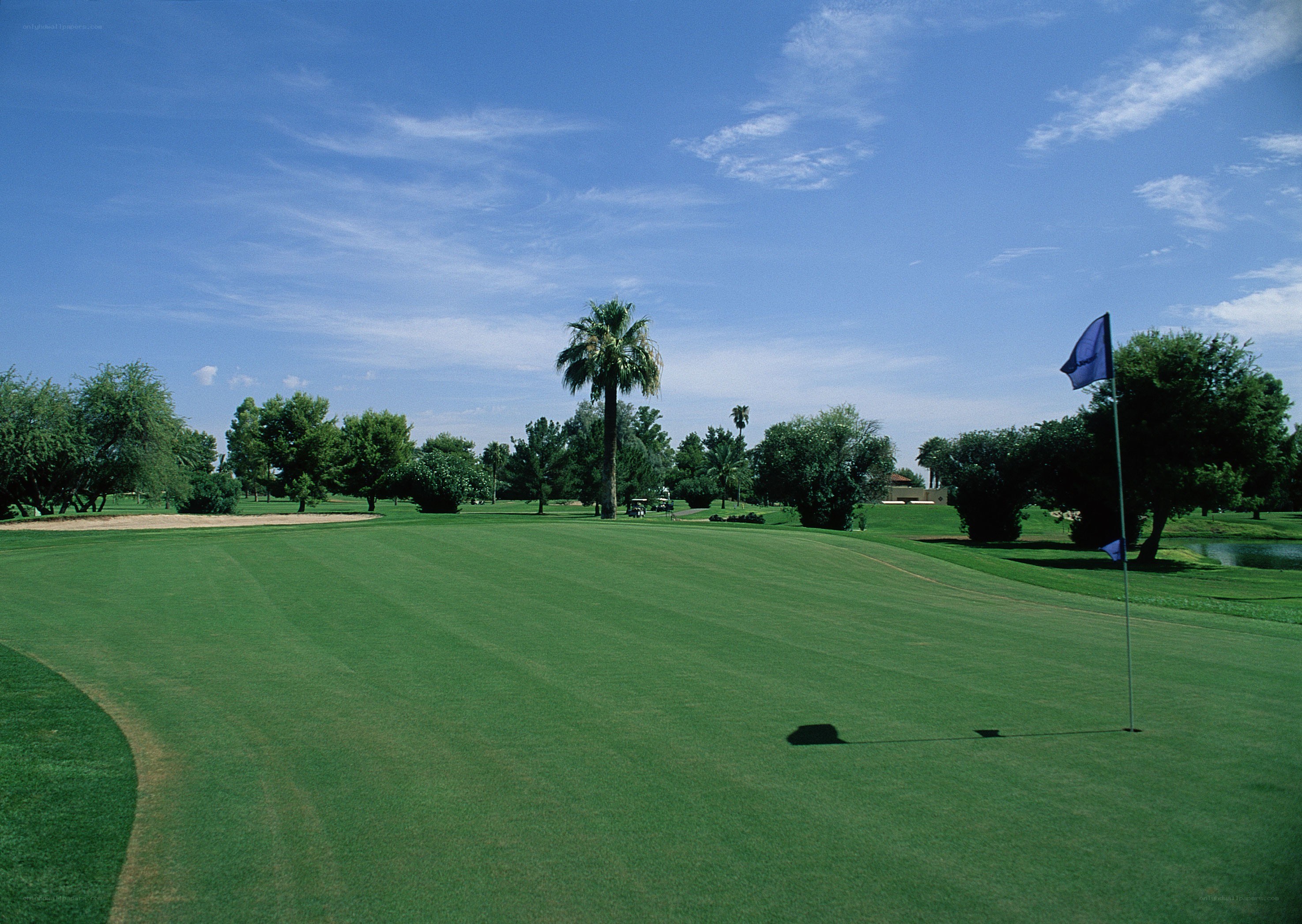 Golf course with blue flag