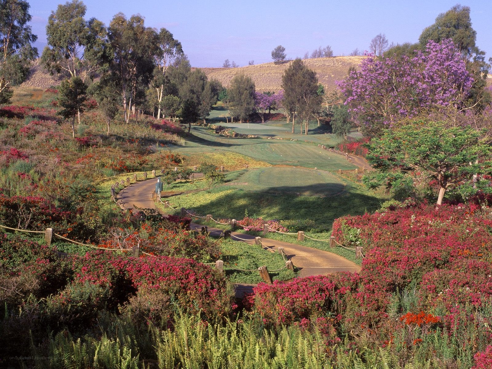 Golf course with colorful flowers