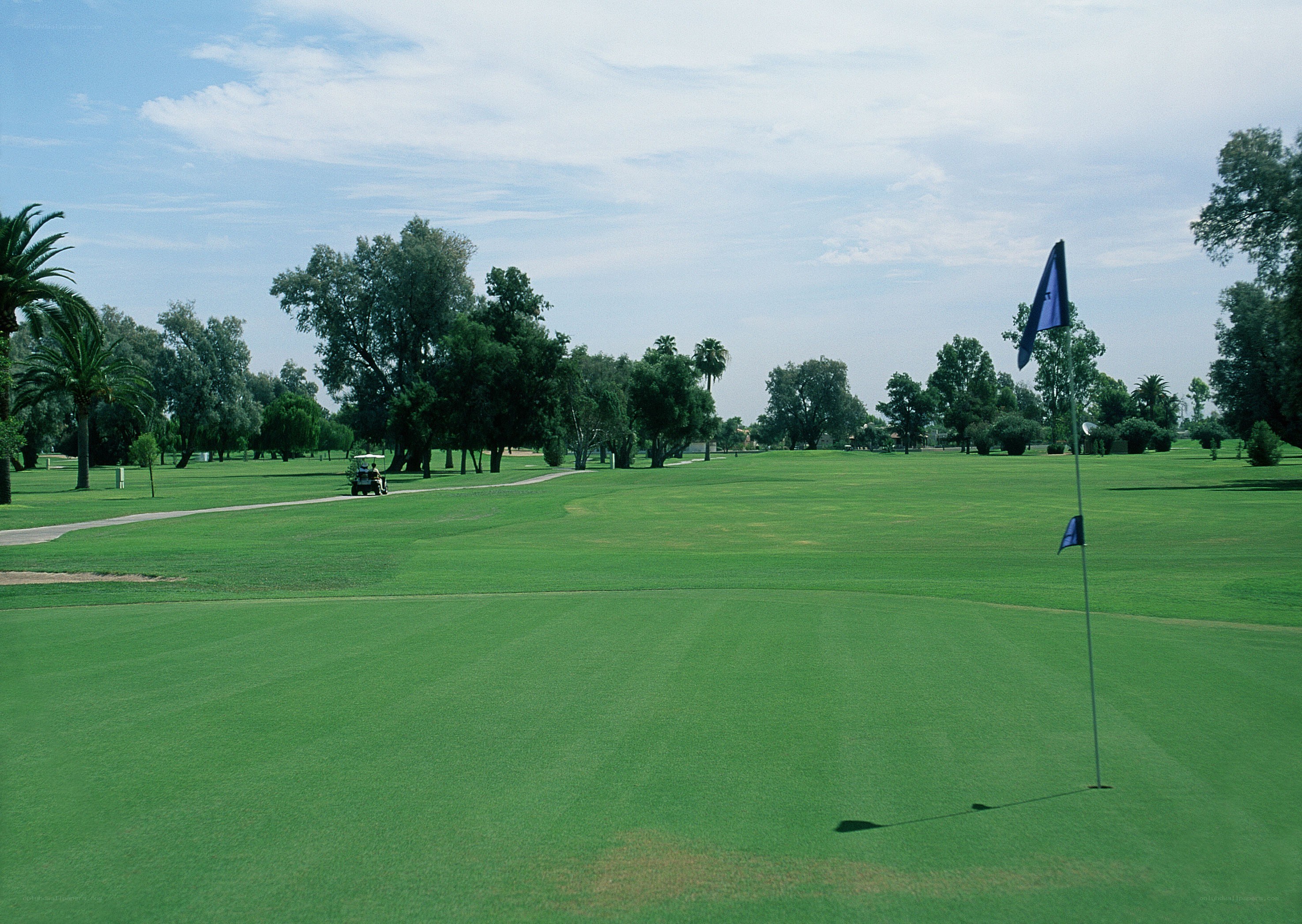 Golf course with green and flag