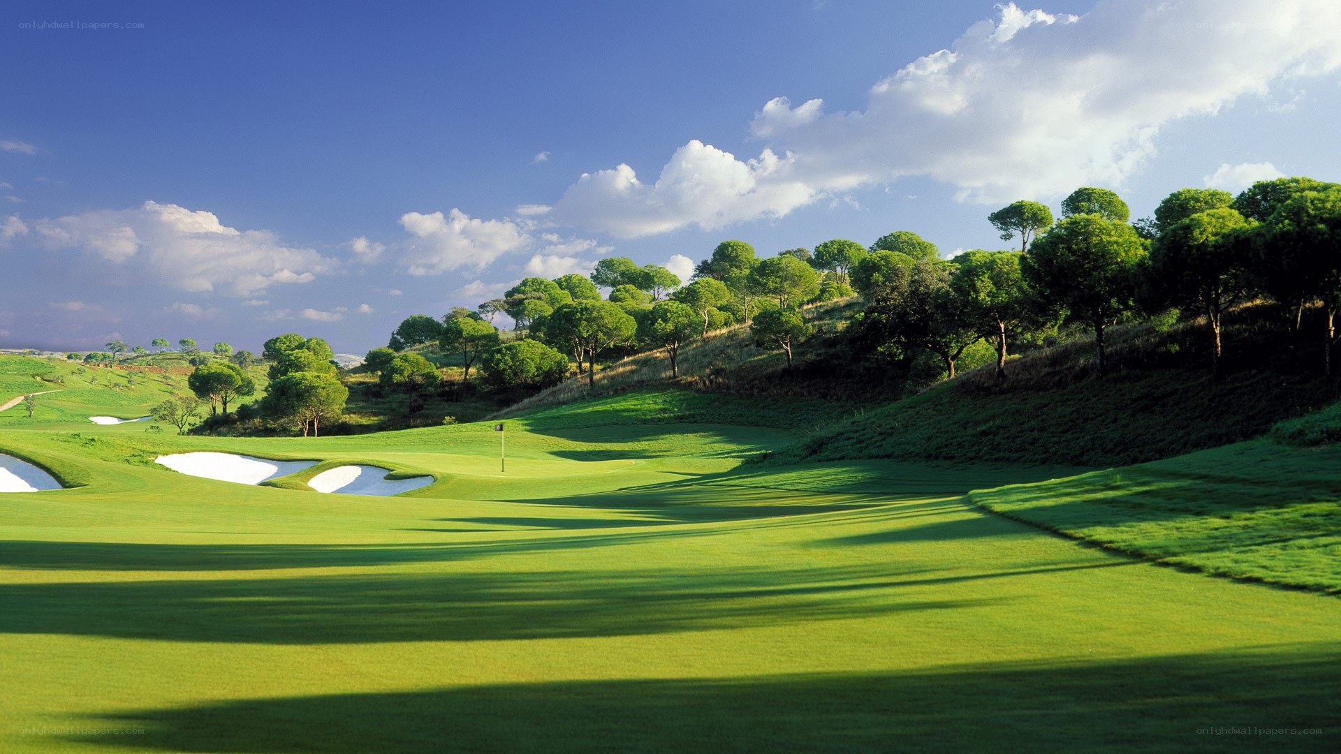 Golf course with green fairway