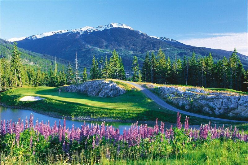 Golf Course with Mountains — Green, Serene, Summer