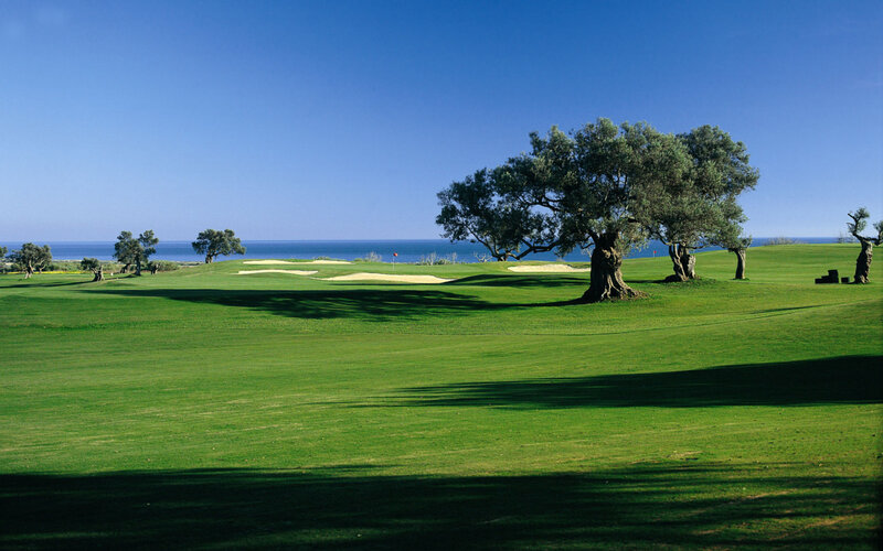Golf Course with Ocean View — Green, Serene