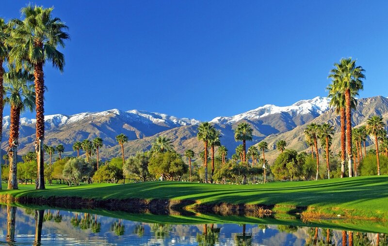 Golf Course with Palm Trees — Blue