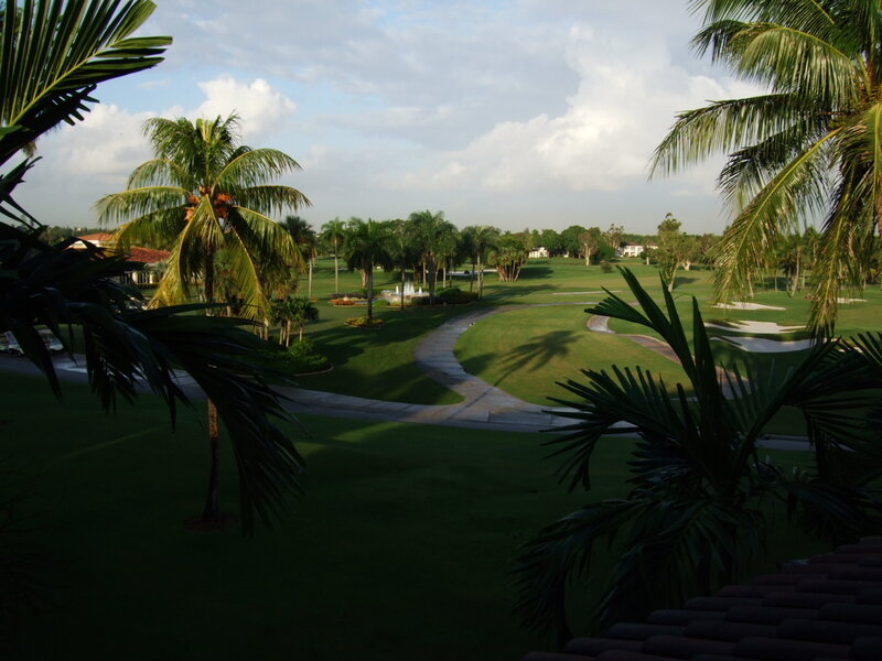 Golf Course with Palm Trees — Green, Serene, Afternoon, Photograph
