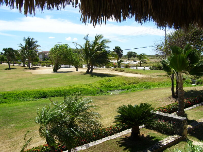 Golf Course with Palm Trees — Green, Serene