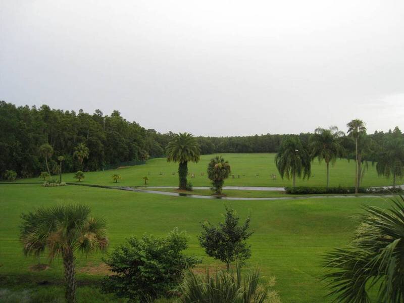 Golf Course with Palm Trees — Green