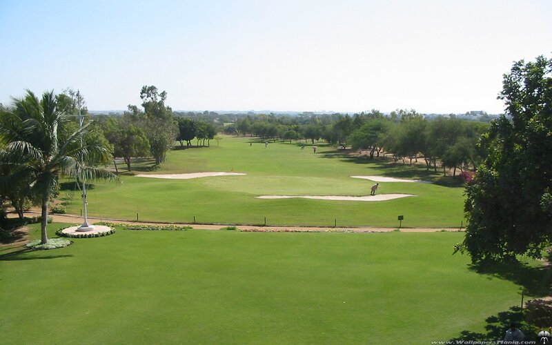 golf course with sand traps