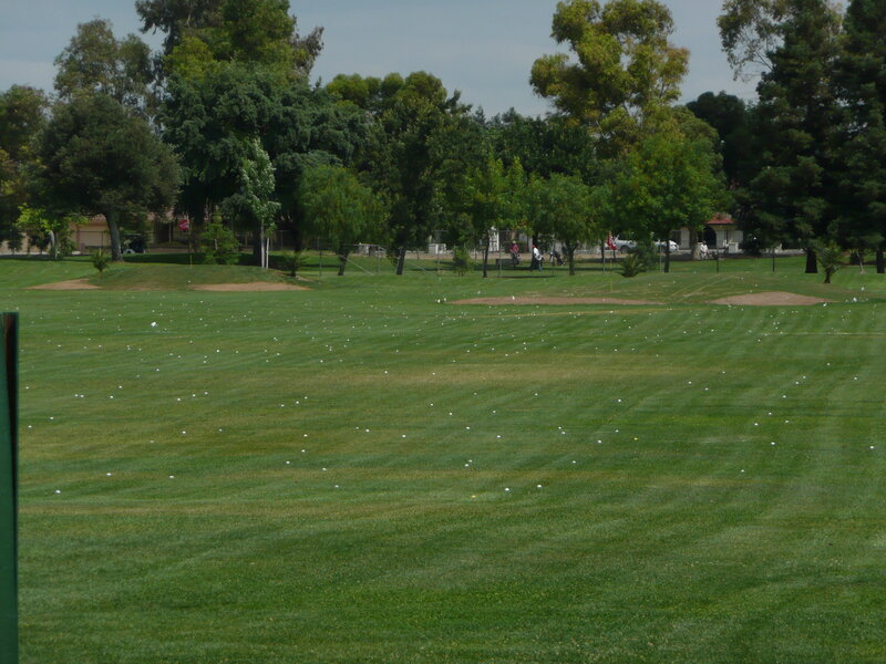 Golf course with scattered balls
