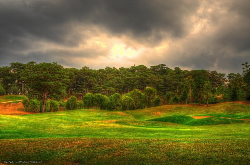 Golf Course with Trees — Green, Dramatic